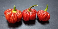 Trinidad scorpion butch for sale  Delivered anywhere in UK