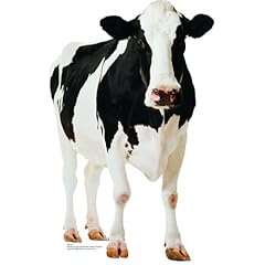 Fun express holstein for sale  Delivered anywhere in USA 