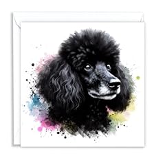 Black poodle dog for sale  Delivered anywhere in UK