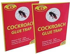 Cockroach insect pest for sale  Delivered anywhere in Ireland