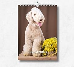 Bedlington terrier calendar for sale  Delivered anywhere in UK