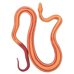 Agatige corn snake for sale  Delivered anywhere in USA 