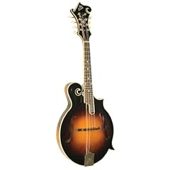 Loar 600 professional for sale  Delivered anywhere in USA 