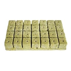 Vbrhfrif pieces plant for sale  Delivered anywhere in UK