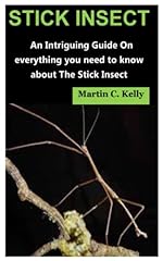Stick insect intriguing for sale  Delivered anywhere in UK