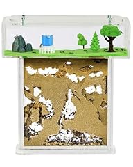 Anthouse formicaio naturale usato  Spedito ovunque in Italia 