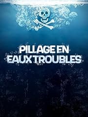 Pillage eaux troubles d'occasion  Livré partout en France