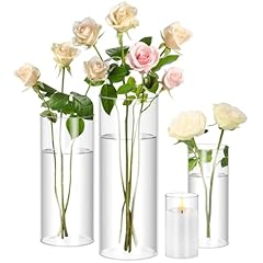 Scawim pack glass for sale  Delivered anywhere in USA 