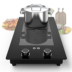 Vbgk double induction for sale  Delivered anywhere in USA 