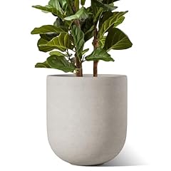 Tauci inch pots for sale  Delivered anywhere in USA 
