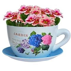 Hadaaya ceramic teacup for sale  Delivered anywhere in UK