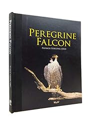 Peregrine falcon for sale  Delivered anywhere in UK