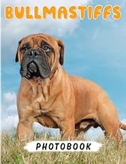 Bullmastiffs photography book gebraucht kaufen  Wird an jeden Ort in Deutschland