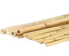 Bâton bambou 200 d'occasion  Livré partout en France