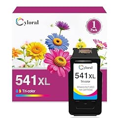 Cyloral 541 remplacement d'occasion  Livré partout en France