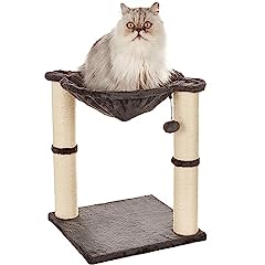 Amazon basics cat for sale  Delivered anywhere in UK