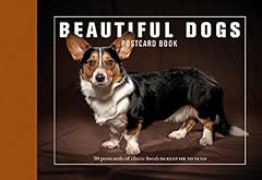Beautiful dogs postcard for sale  Delivered anywhere in UK
