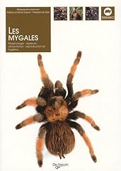 Mygales d'occasion  Livré partout en France