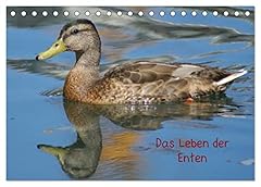 Leben enten calvendo gebraucht kaufen  Wird an jeden Ort in Deutschland