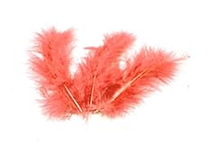 Feather coral decoration for sale  Delivered anywhere in UK