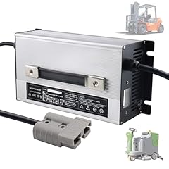 Hydtgz 48v 25a for sale  Delivered anywhere in USA 
