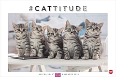 Whiskas katzenkalender 2026 gebraucht kaufen  Wird an jeden Ort in Deutschland
