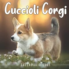 Cuccioli Corgi Calendario 2023: Un calendario mensile di 18 mesi luglio 2022 a dicembre 2023 8.5 x 8.5 pollici. Un grande regalo per natale, un compleanno o qualsiasi altra occasione speciale usato  Spedito ovunque in Italia 