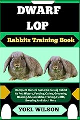 Dwarf lop rabbits for sale  Delivered anywhere in UK