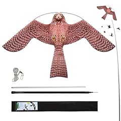 Flerigh bird hawk for sale  Delivered anywhere in USA 