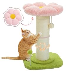 Pequlti flower cat for sale  Delivered anywhere in USA 