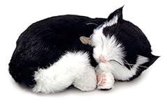 Perfect petzzz 65432 gebraucht kaufen  Wird an jeden Ort in Deutschland