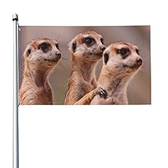 Flagge 3x5 fahne gebraucht kaufen  Wird an jeden Ort in Deutschland