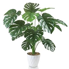 Insanyj monstera kunstpflanzen gebraucht kaufen  Wird an jeden Ort in Deutschland