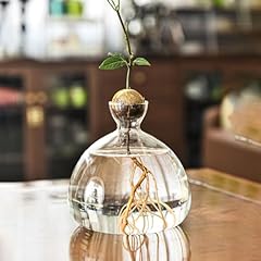 Vase verre avocat d'occasion  Livré partout en France