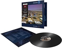 Momentary lapse reason for sale  Delivered anywhere in UK