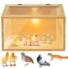 Brooder box chicks for sale  Delivered anywhere in USA 