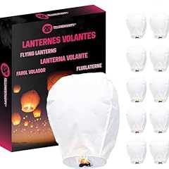 lampion lanterne chinoise d'occasion  Livré partout en France