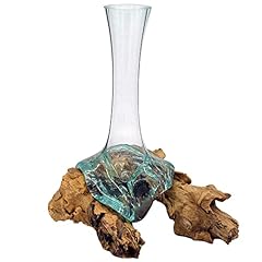 Radice con vaso usato  Spedito ovunque in Italia 