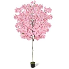6ft tall cherry for sale  Delivered anywhere in USA 