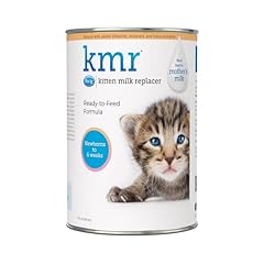Petag kmr kitten for sale  Delivered anywhere in USA 