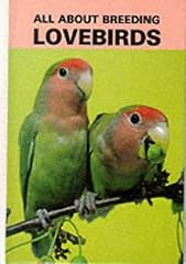 Breeding lovebirds for sale  Delivered anywhere in USA 