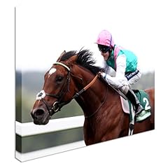 Frankel jockey queally for sale  Delivered anywhere in UK