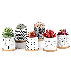 Succulent pots pack for sale  Delivered anywhere in USA 
