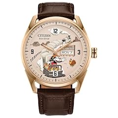 Citizen men eco for sale  Delivered anywhere in USA 