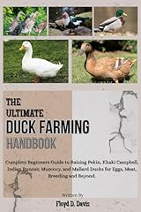 Ultimate duck farming for sale  Delivered anywhere in UK