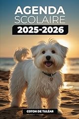 Agenda scolaire 2025 d'occasion  Livré partout en France