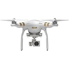 Dji phantom professional usato  Spedito ovunque in Italia 