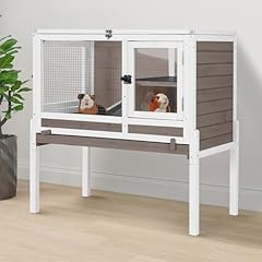 Gutinneen indoor rabbit for sale  Delivered anywhere in USA 