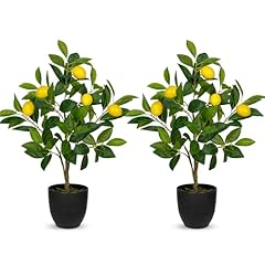 2ft artificial lemon for sale  Delivered anywhere in USA 