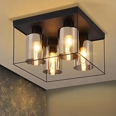 Cbjktx deckenlampe wohnzimmer gebraucht kaufen  Wird an jeden Ort in Deutschland